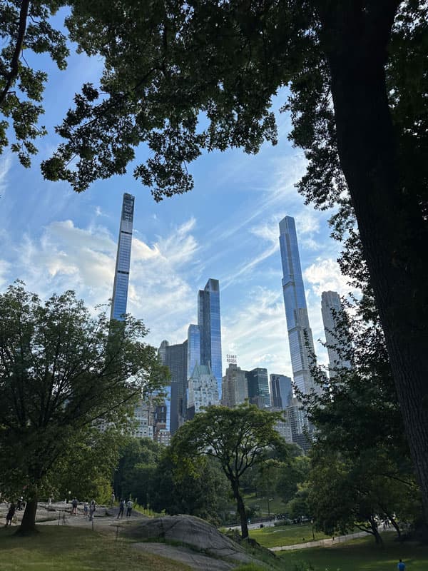 Wolkenkratzer hinter den Bäumen des Central Park in New York