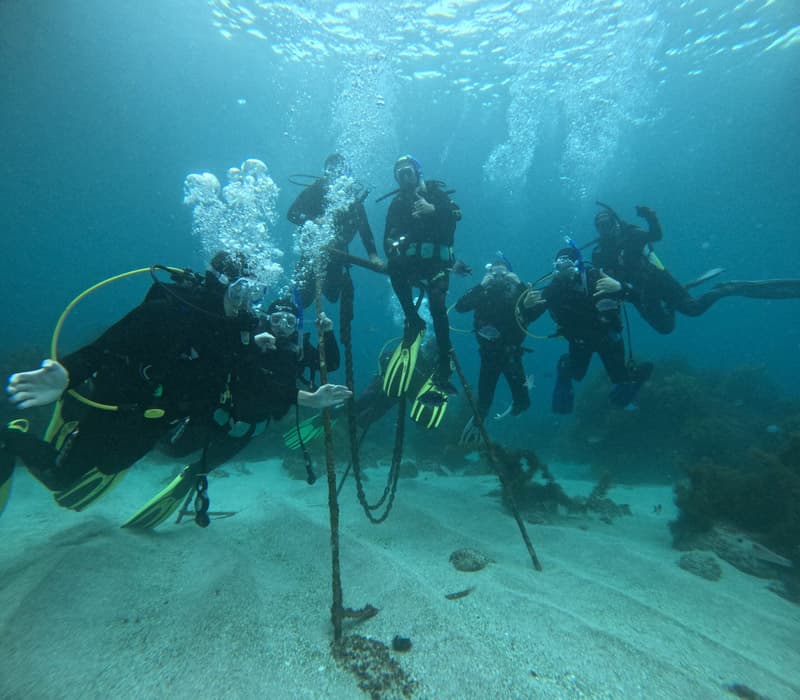 Tauchgruppe unter Wasser über sandigem Meeresgrund in Neuseeland