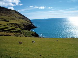 schueleraustausch_irland
