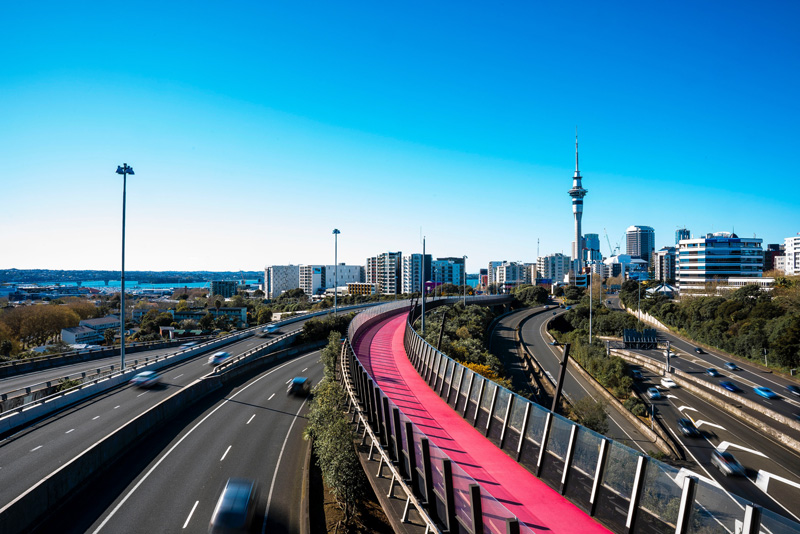 auckland_web