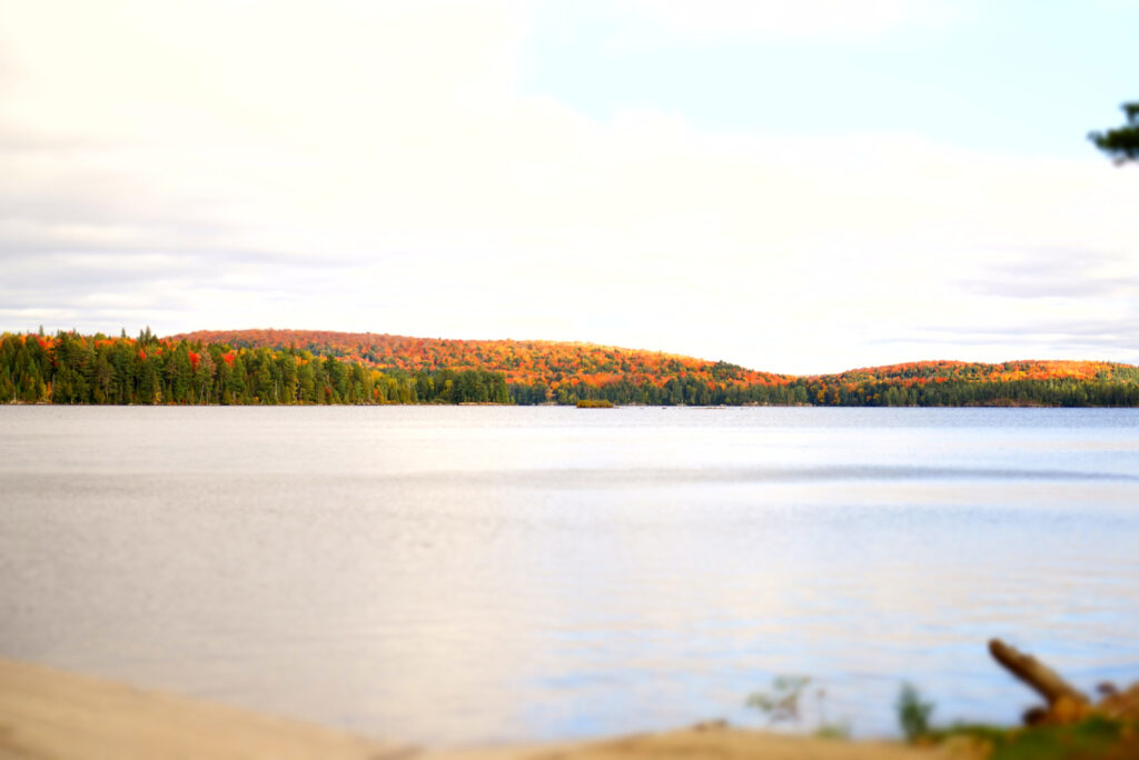 Ontario_Header
