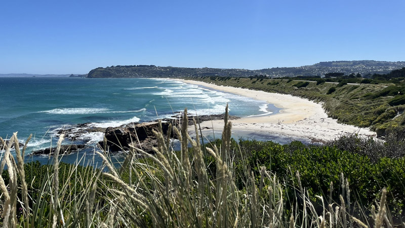 Auslansjahr_Stadt_Dunedin_Strand